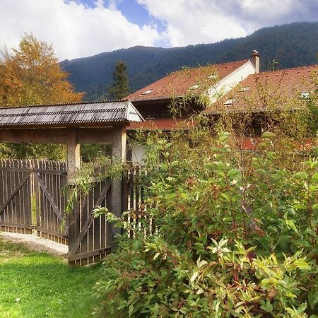 Villa Casa Ferica Azuga Esterno foto
