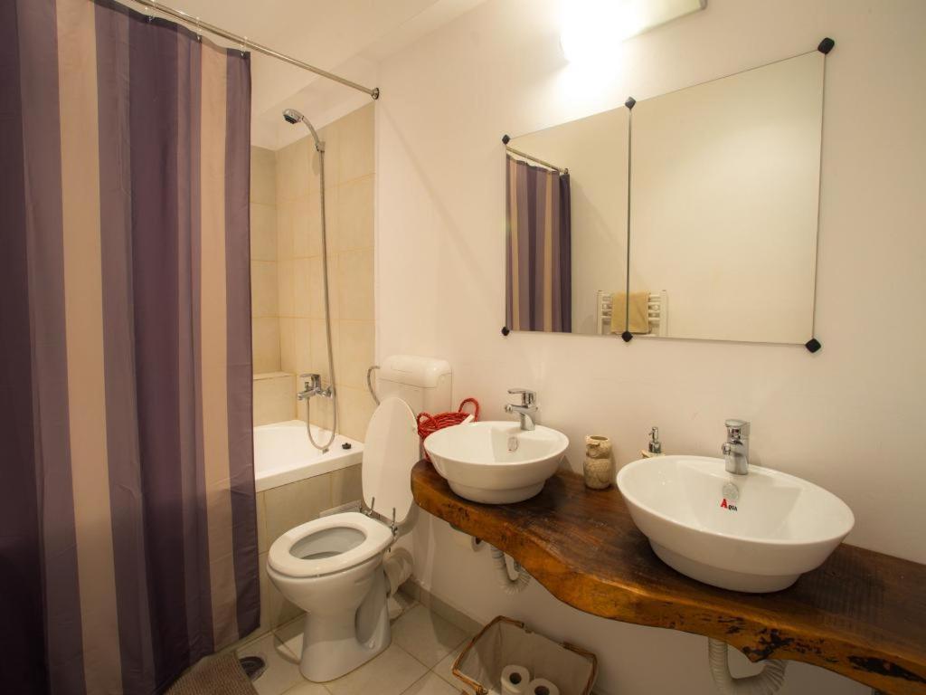 Villa Casa Ferica Azuga Esterno foto