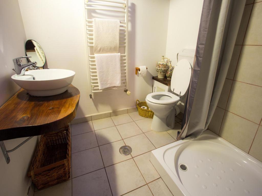 Villa Casa Ferica Azuga Esterno foto