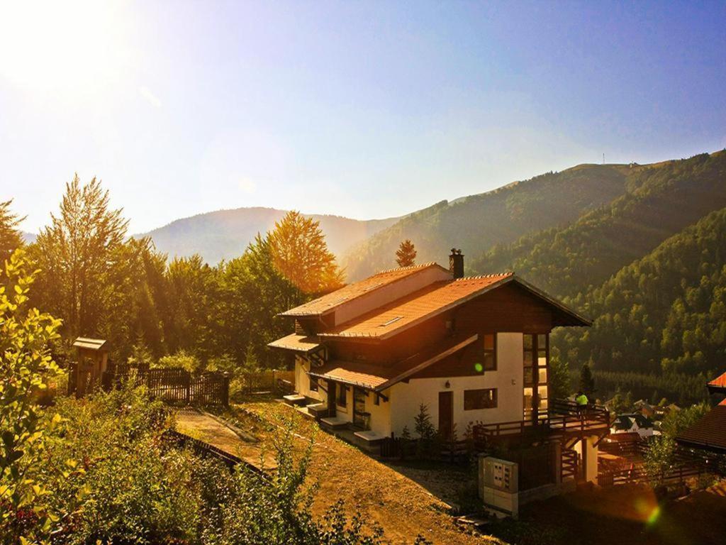 Villa Casa Ferica Azuga Esterno foto