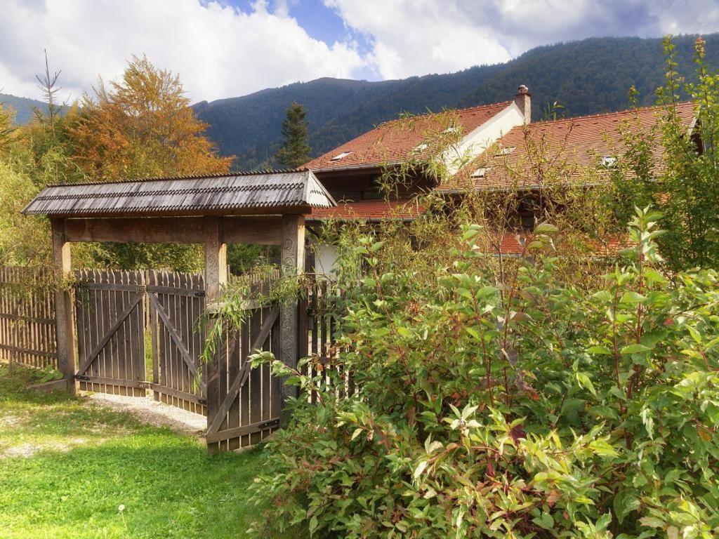 Villa Casa Ferica Azuga Esterno foto